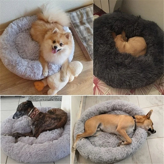 Pawsenti™ CloudNest™ Luxe Plush Donut Bed – Calming & Orthopedic Comfort for Dogs & Cats