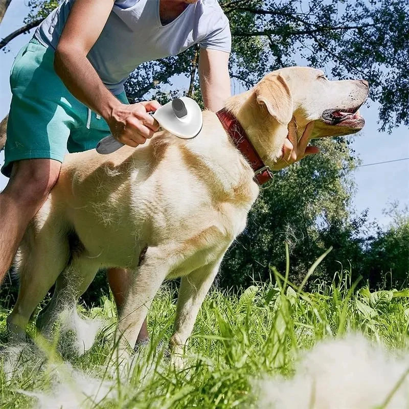 ProGroom™ Self-Cleaning Pet Brush (Pawsenti)